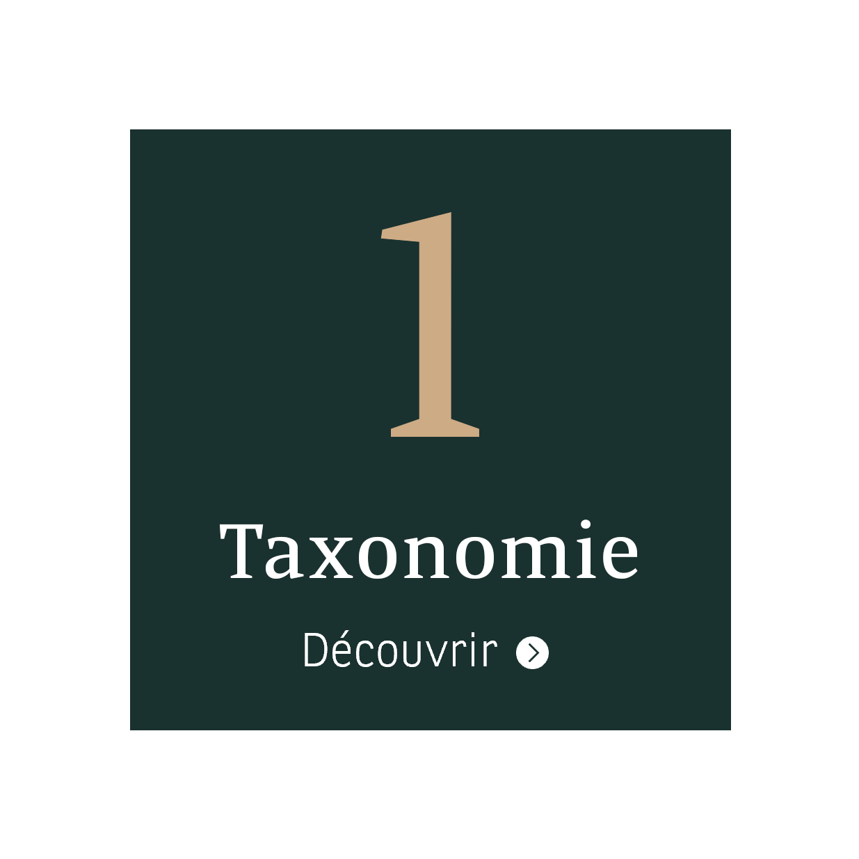 Taxonomie